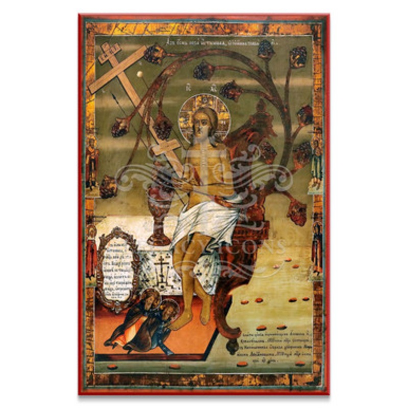 Christ the True Vine (XXc) Icon – X163