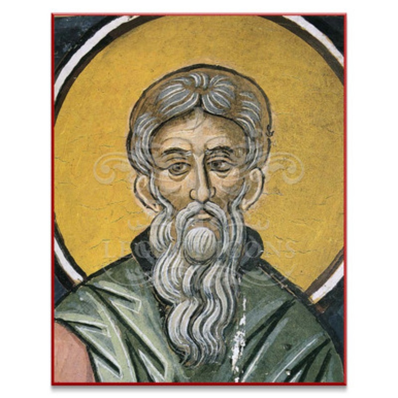Saint Theodore the Trichinas (Athos) Icon – S513