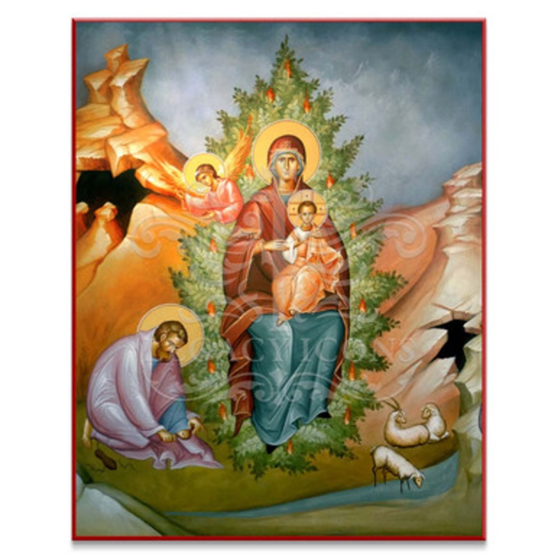 Theotokos the Burning Bush (Clark) Icon – T144