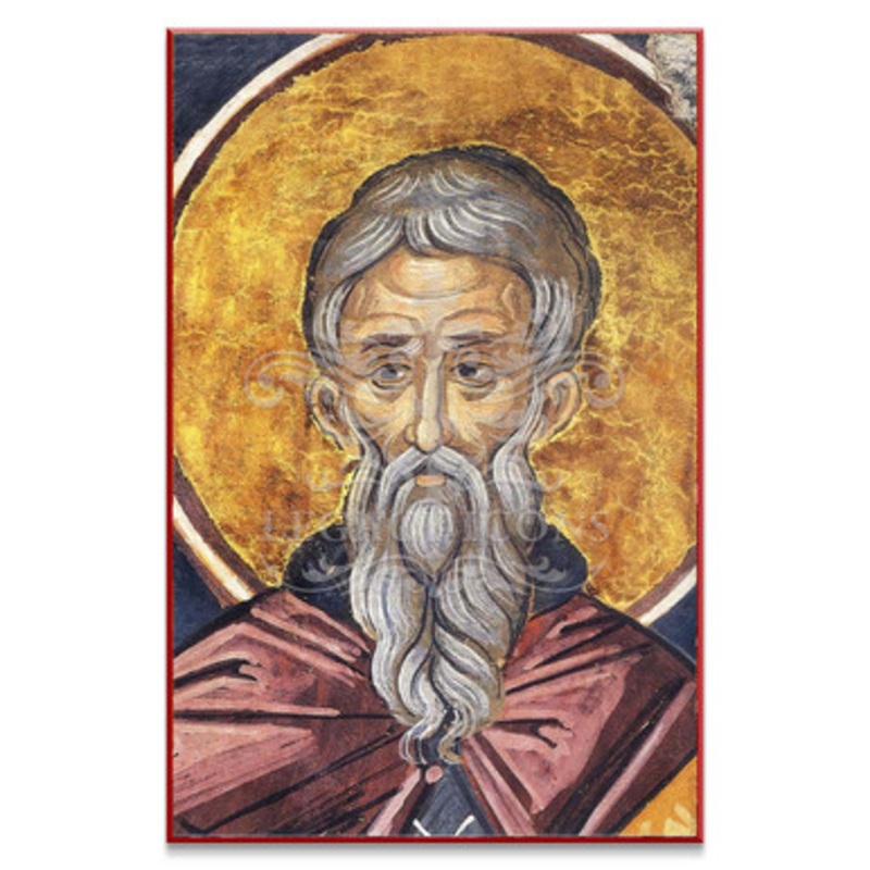 Saint Theodore the Branded (Athos) Icon – S516