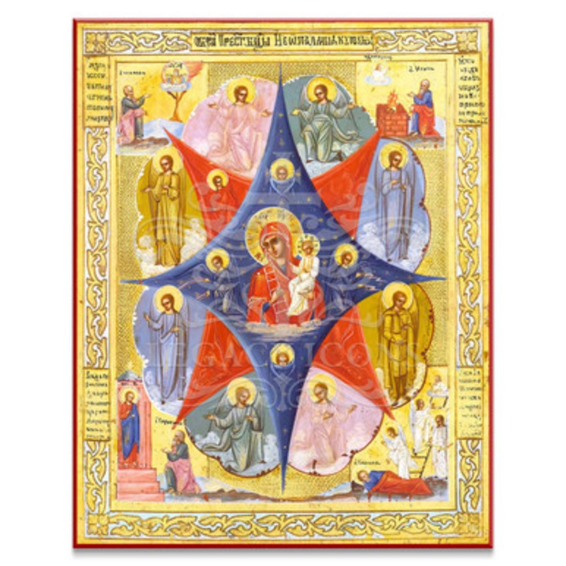 Theotokos the Burning Bush Icon – T102