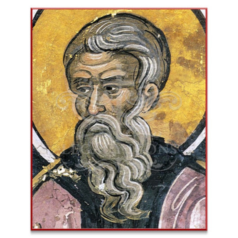 Saint Theodore of Sykeon (Athos) Icon – S512