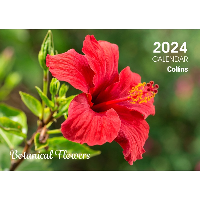 Collins Rosebank Wall Calendar A4 Botanical Flowers