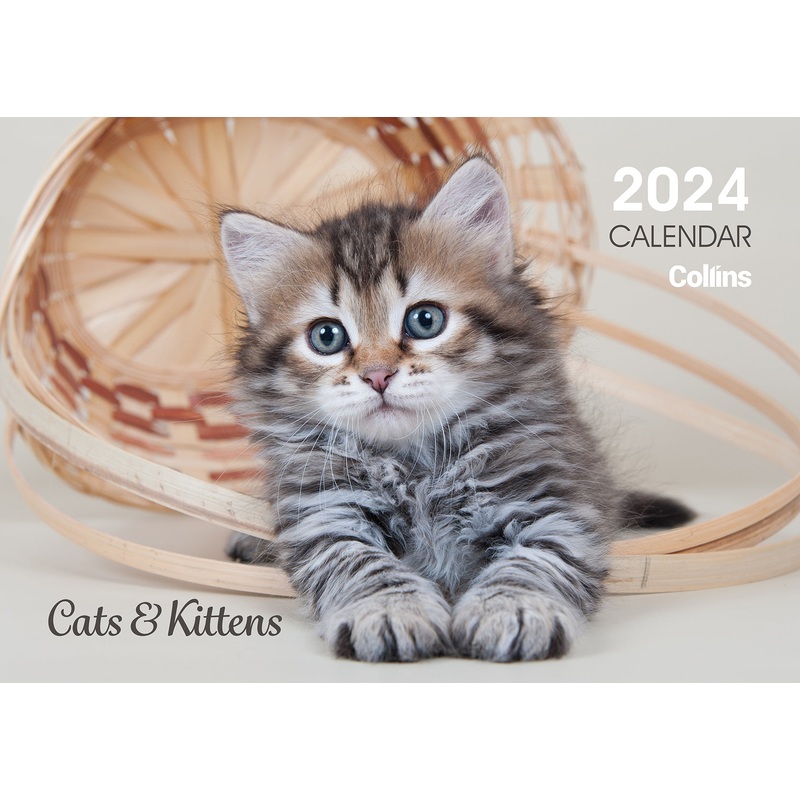 Collins Rosebank Wall Calendar A4 Cats & Kittens