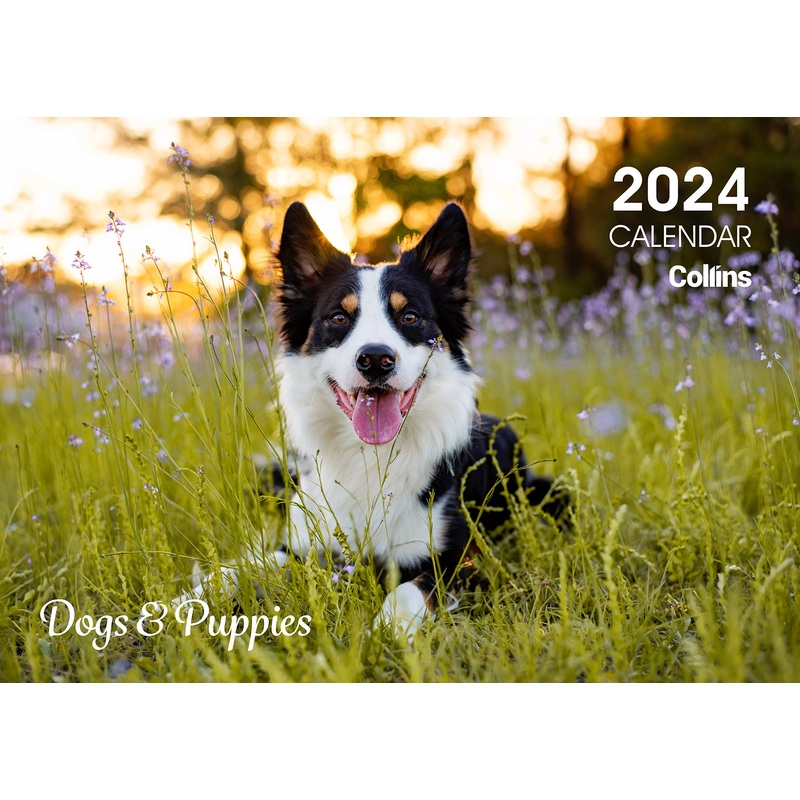 Collins Rosebank Wall Calendar A4 Dogs & Puppies