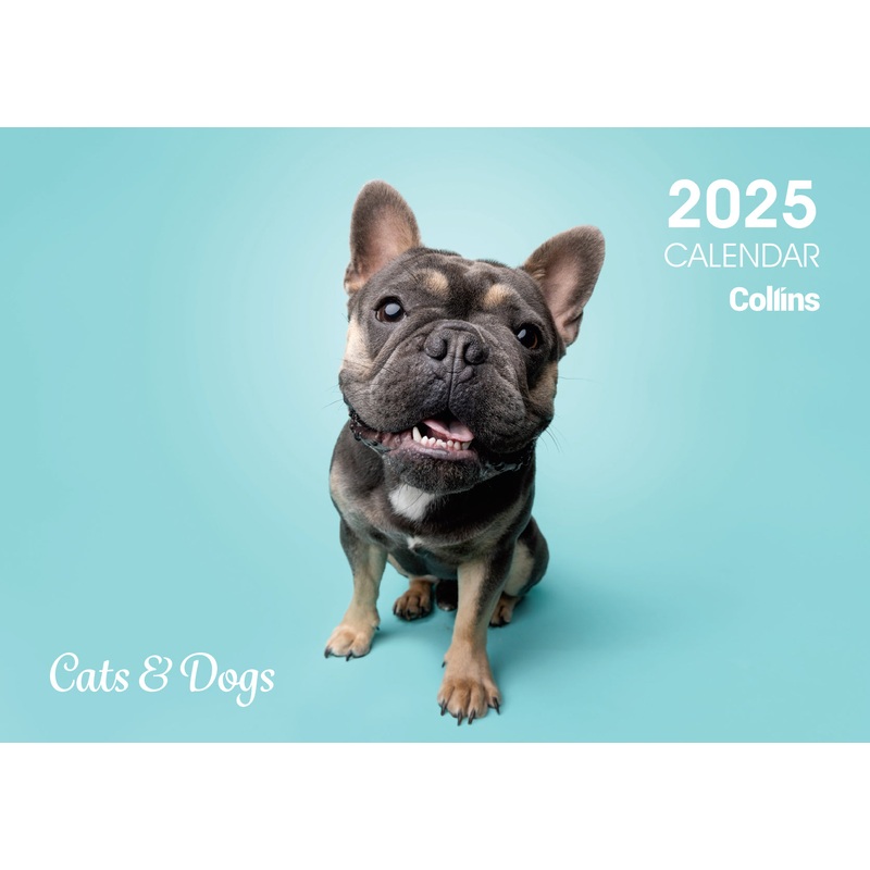 Collins A4 Cats & Dogs Wall Calendar