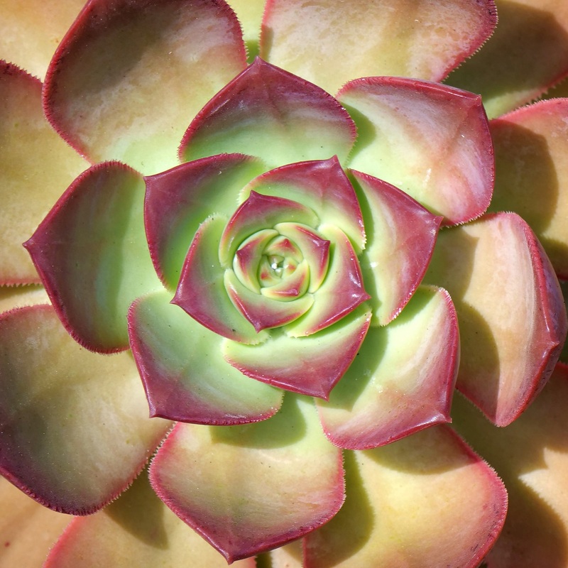 10054