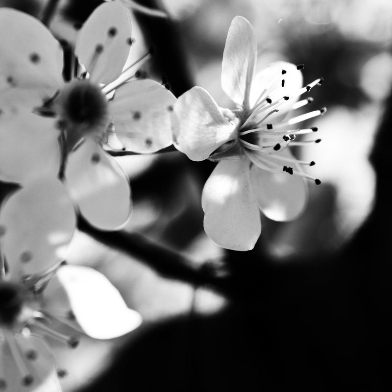 13040