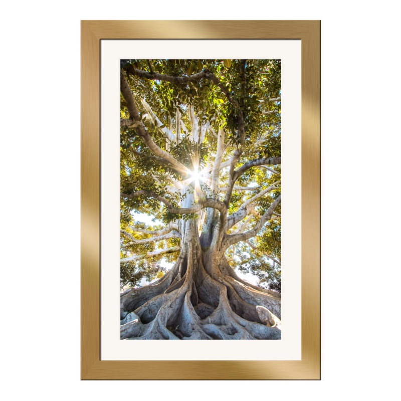 Tree of Life – 10002